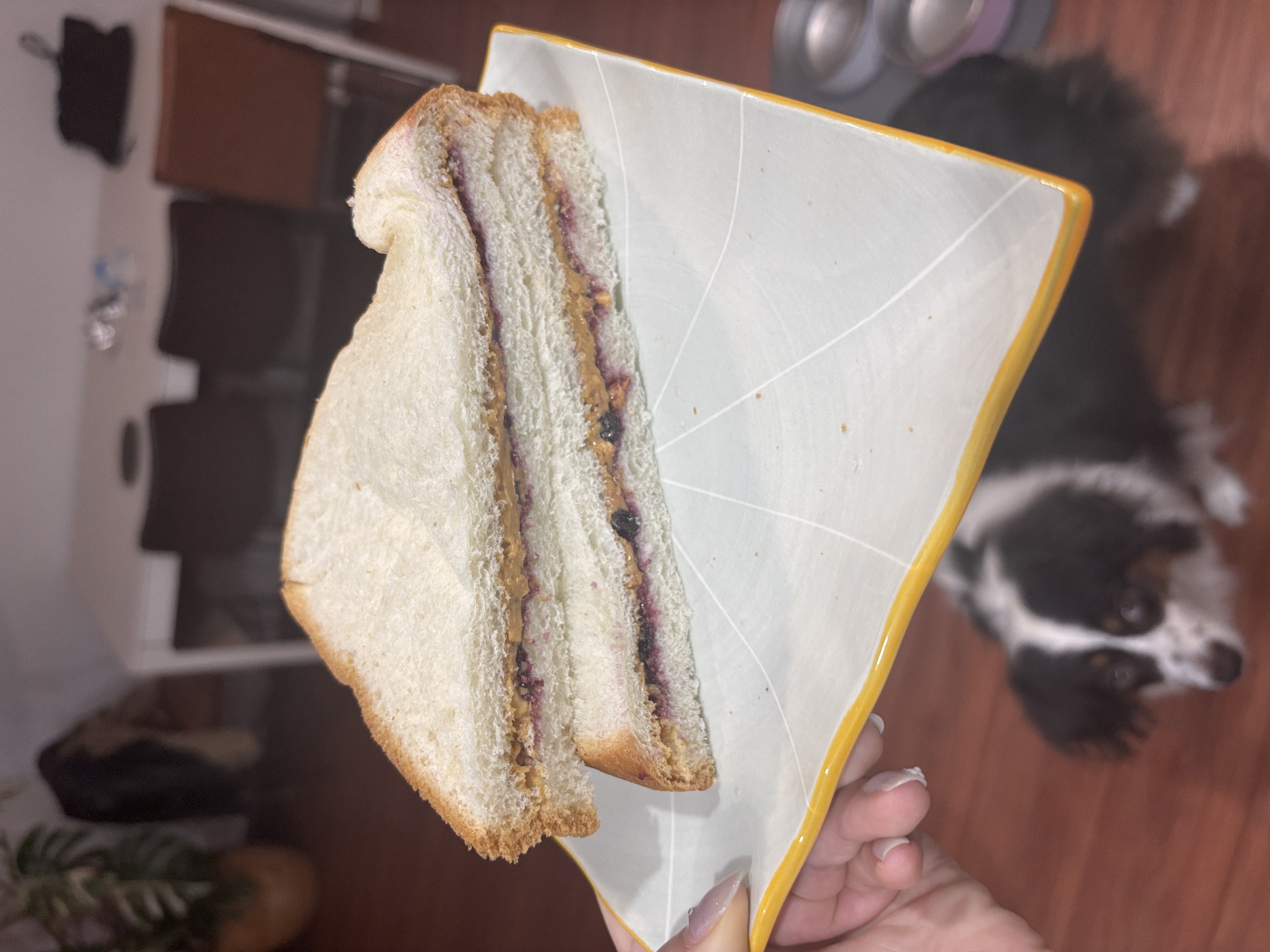 Finished PB&J halves stacked on a plate with a dog looking up